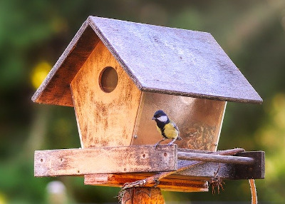 Vogelhaus mit Futter