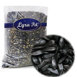 Lyra Pet 25 kg Sonnenblumenkerne schwarz
