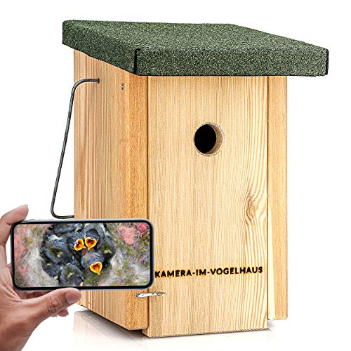 Nistkasten Kamera Vogelbeobachtung hautnah im Nistkasten mit Kamera