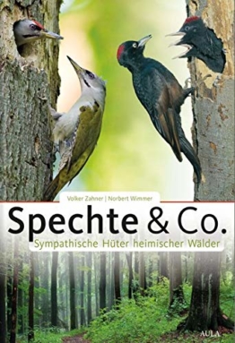 Spechte & Co.: Sympathische Hüter heimischer Wälder
